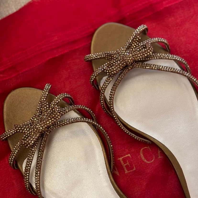 Rene Caovilla Brown Satin Strass Flat Brown Satin Good condition - Inside View