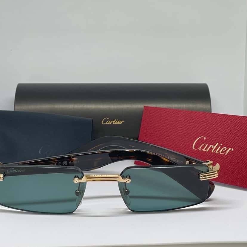 Cartier Cartier 2026 Brand New Brown Never worn, with tag - Back View