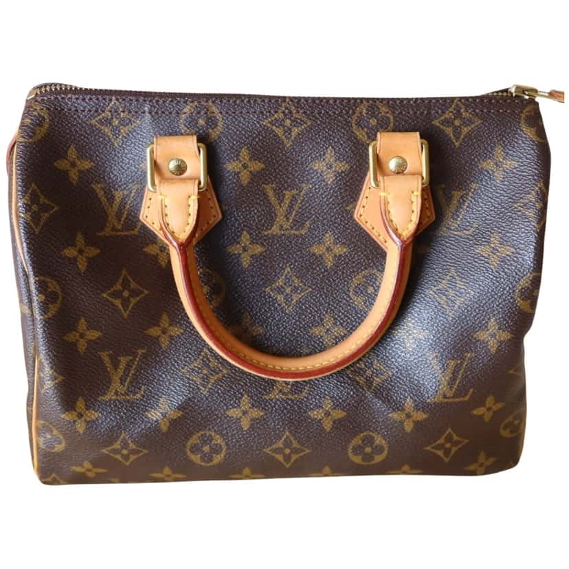 Louis Vuitton Speedy Other Canvas Good condition - Front View