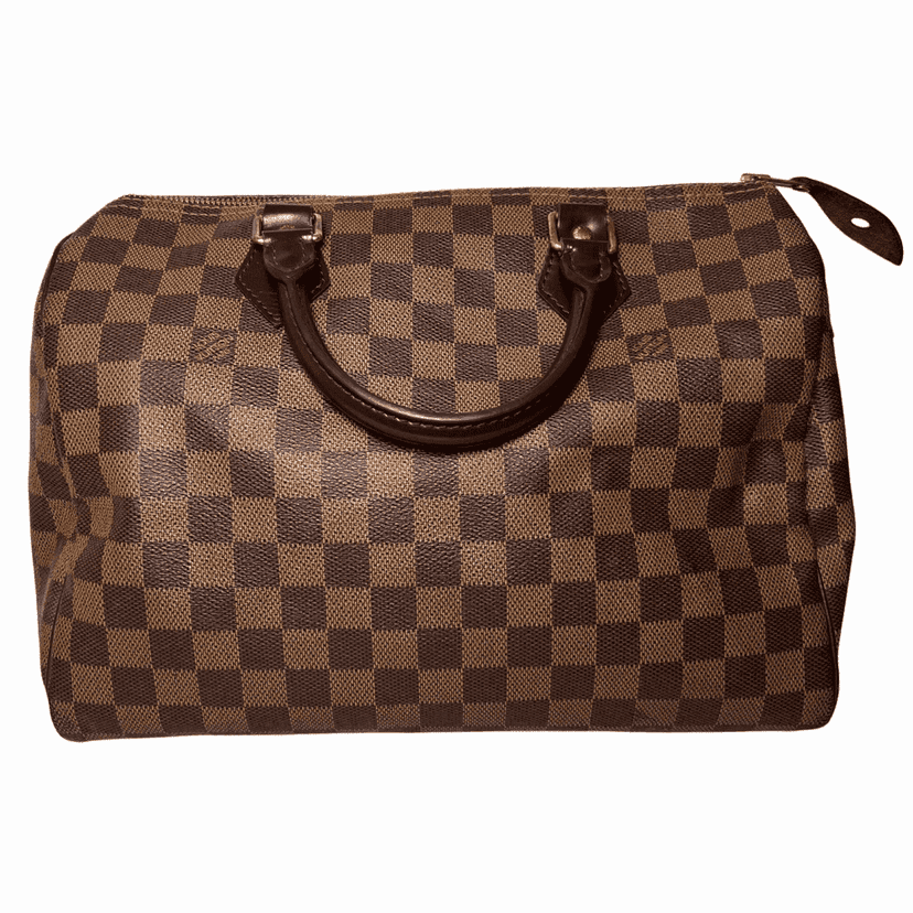 Louis Vuitton Speedy Brown Canvas Bronze Fair condition - Back View