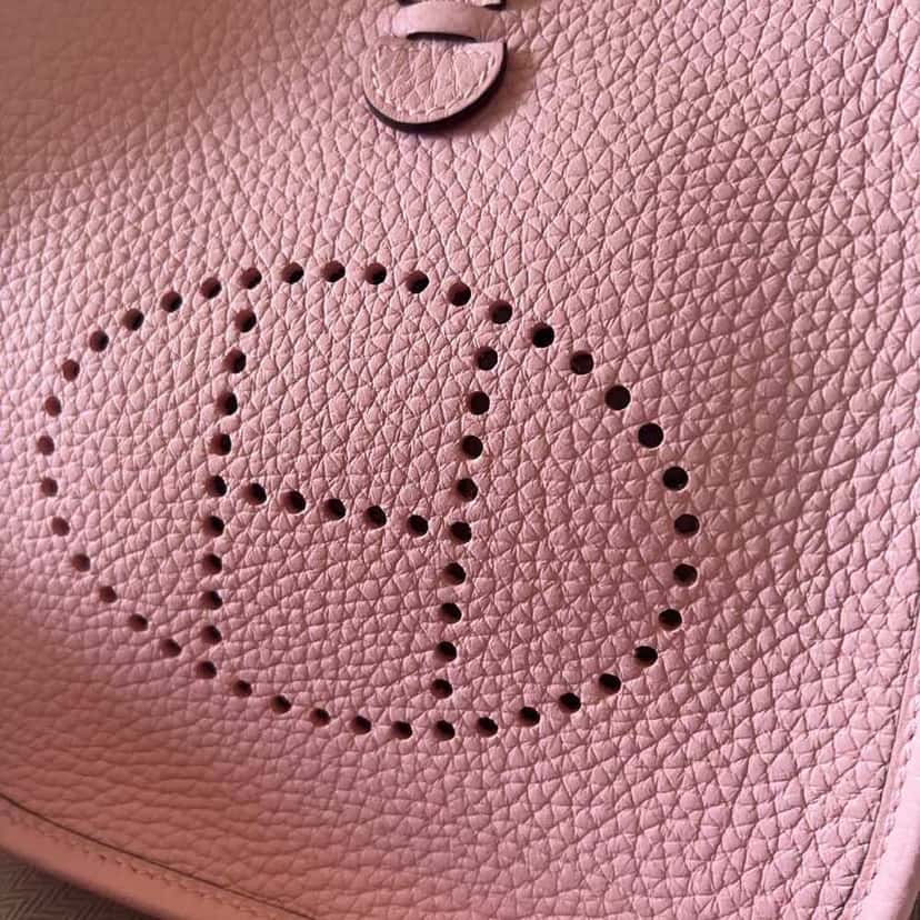 Hermès Mini Evelyne Pink Leather Never worn, with tag - Back View