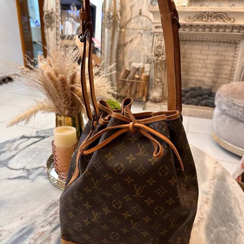 Louis Vuitton Noé Brown Canvas Leather Good condition - Back View