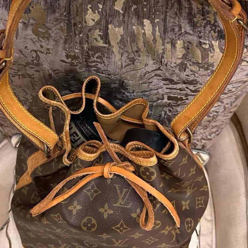 Louis Vuitton Noé Brown Canvas Leather Good condition - Inside View