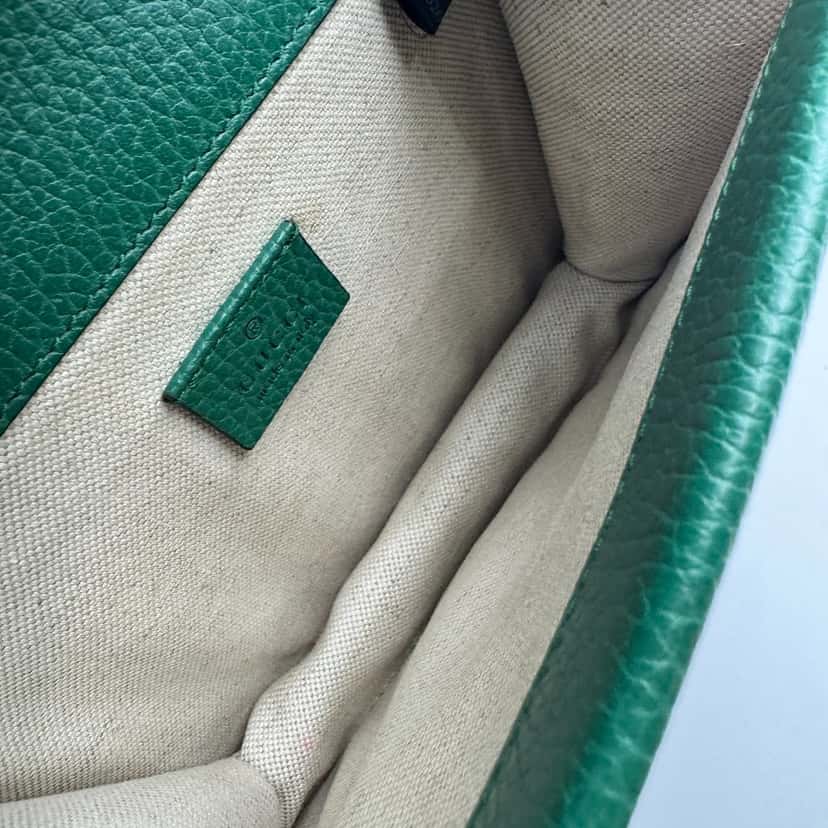 Gucci Dionysus Green Leather Very good condition - Model View