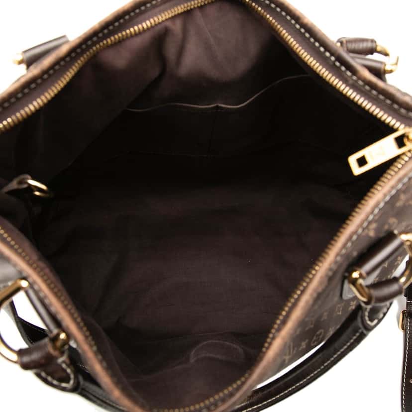Louis Vuitton Monogram Idylle Elegie Brown Very good condition - Model View