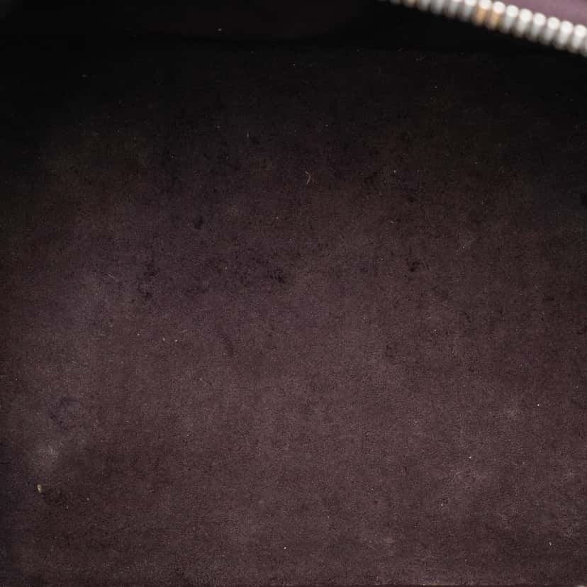 Louis Vuitton Epi Alma PM Purple Leather Very good condition - Model View