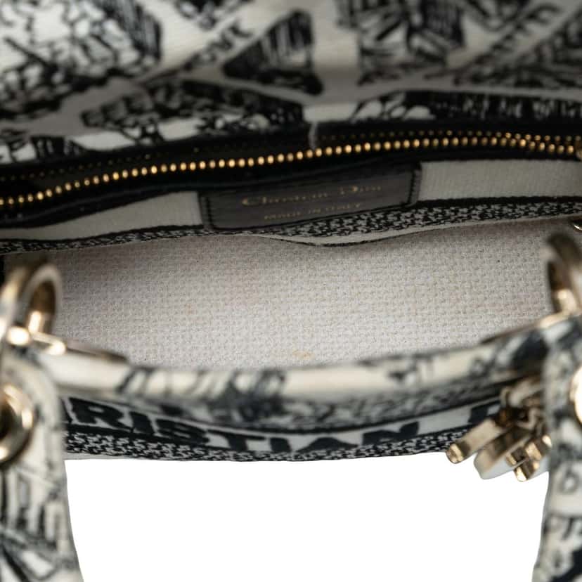 Dior Mini Embroidered Canvas Plan de Paris Lady D Lite White Very good condition - Model View