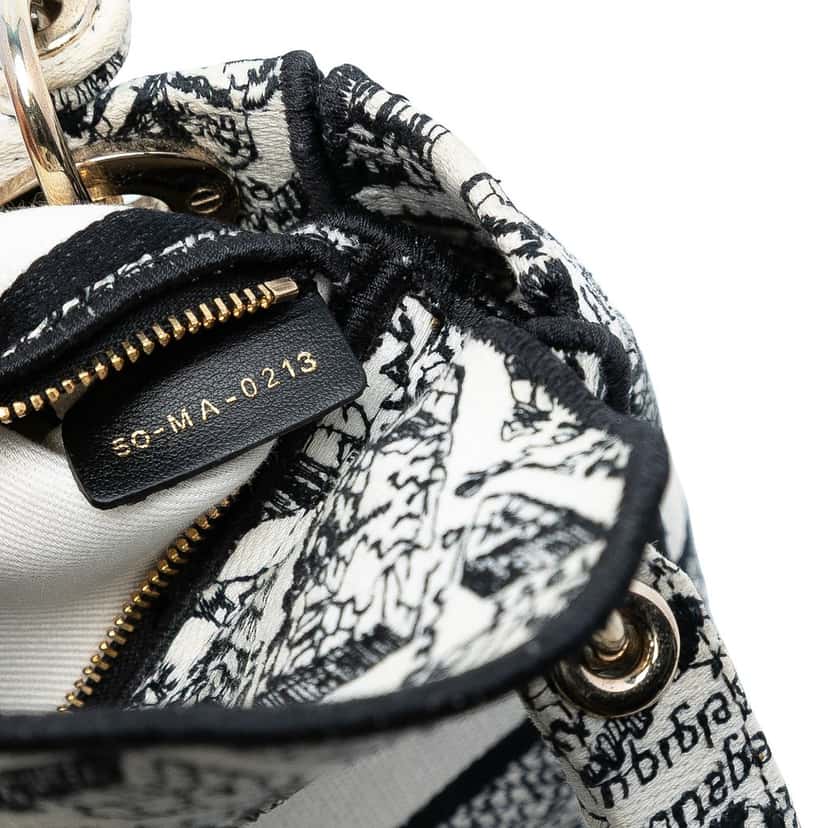 Dior Mini Embroidered Canvas Plan de Paris Lady D Lite White Very good condition - Box View