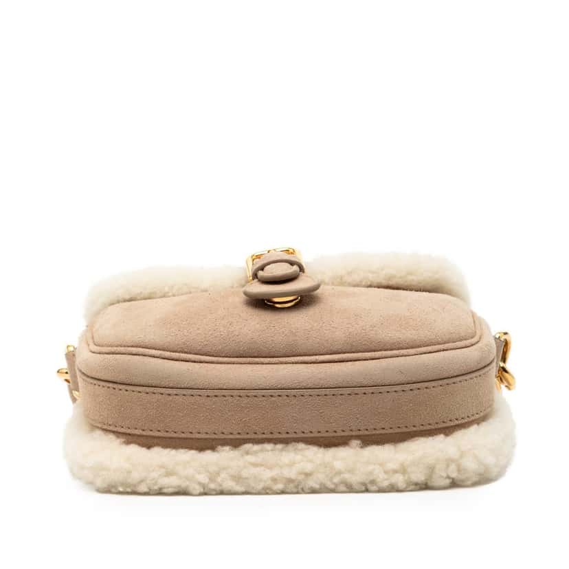 Dior Small Suede Shearling Bobby Crossbody Beige Leather Very good condition - Back View