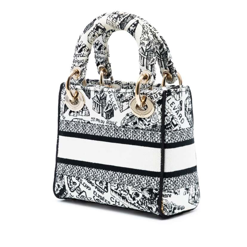 Dior Mini Embroidered Canvas Plan de Paris Lady D Lite White Very good condition - Back View