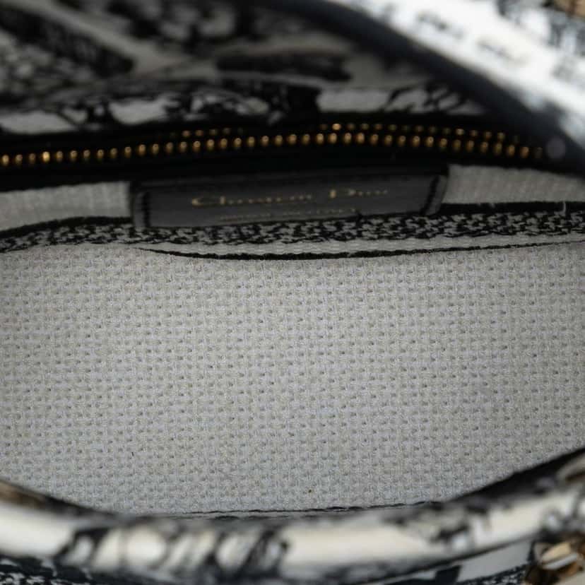 Dior Mini Embroidered Canvas Plan de Paris Lady D Lite White Very good condition - Model View