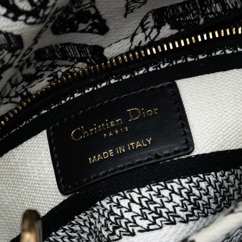 Dior Mini Embroidered Canvas Plan de Paris Lady D Lite White Very good condition - Box View