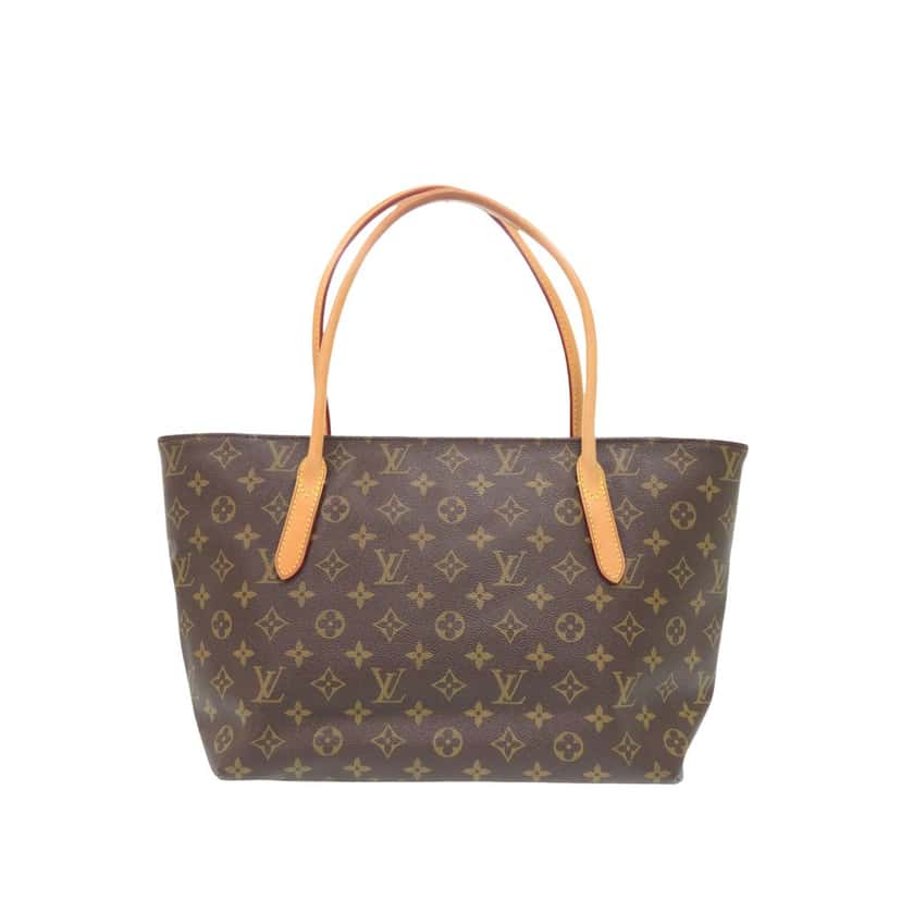 Louis Vuitton Monogram Raspail PM Brown Very good condition - Back View