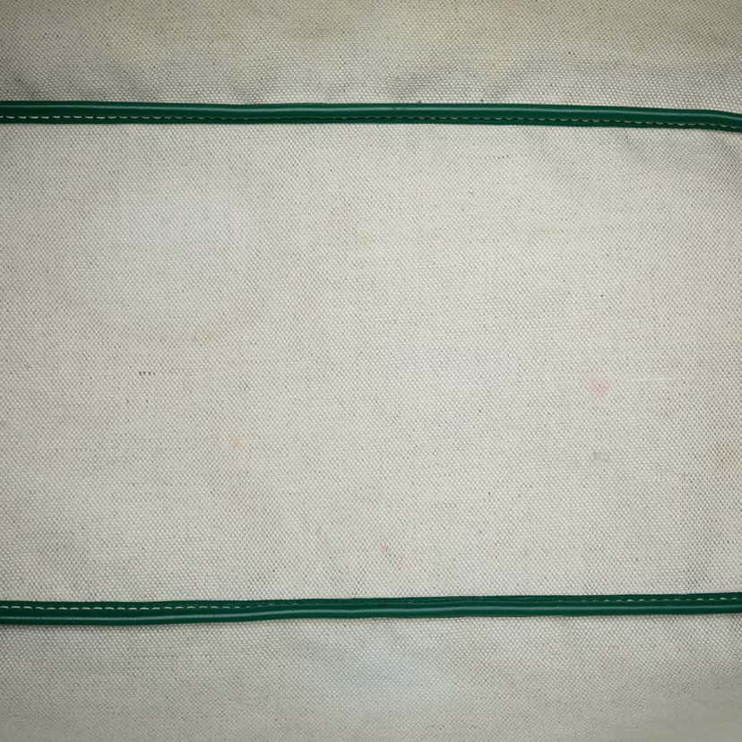 Goyard Goyardine Saint Louis PM Green Very good condition - Model View