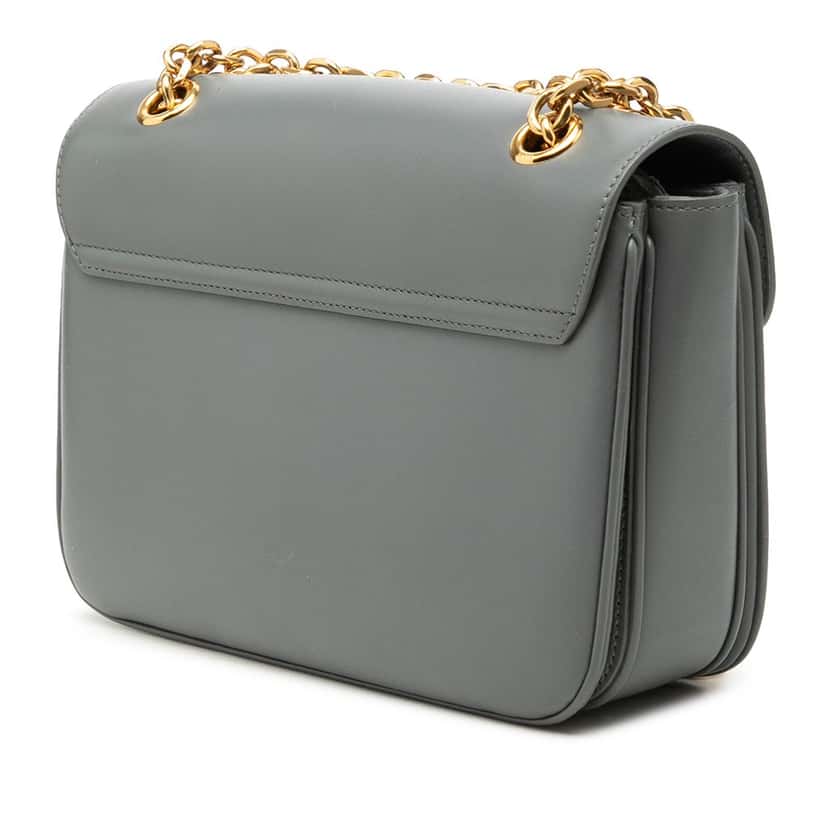 Celine Medium Calfskin C Crossbody Other Leather Very good condition - Back View