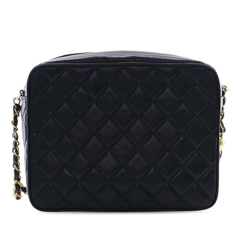 Chanel Small Quilted Lambskin Diana Tassel Camera Bag Blue Leather Very good condition - Back View