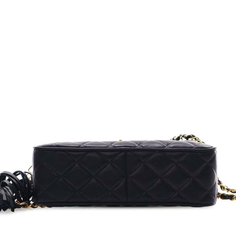 Chanel Small Quilted Lambskin Diana Tassel Camera Bag Blue Leather Very good condition - Inside View