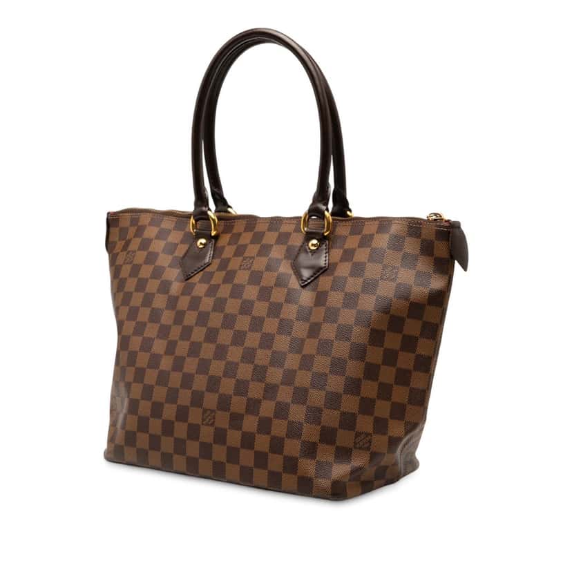Louis Vuitton Damier Ebene Saleya MM Brown Very good condition - Back View