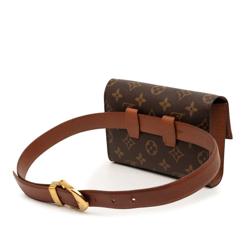 Louis Vuitton Monogram Arche Brown Very good condition - Back View