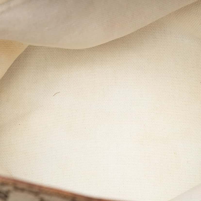 Gucci GG Canvas Web Crossbody Beige Very good condition - Model View