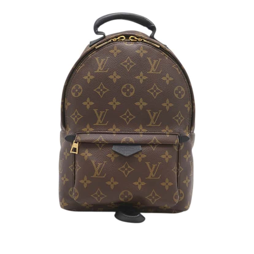 Louis Vuitton Monogram Palm Springs PM Brown Very good condition - Front View
