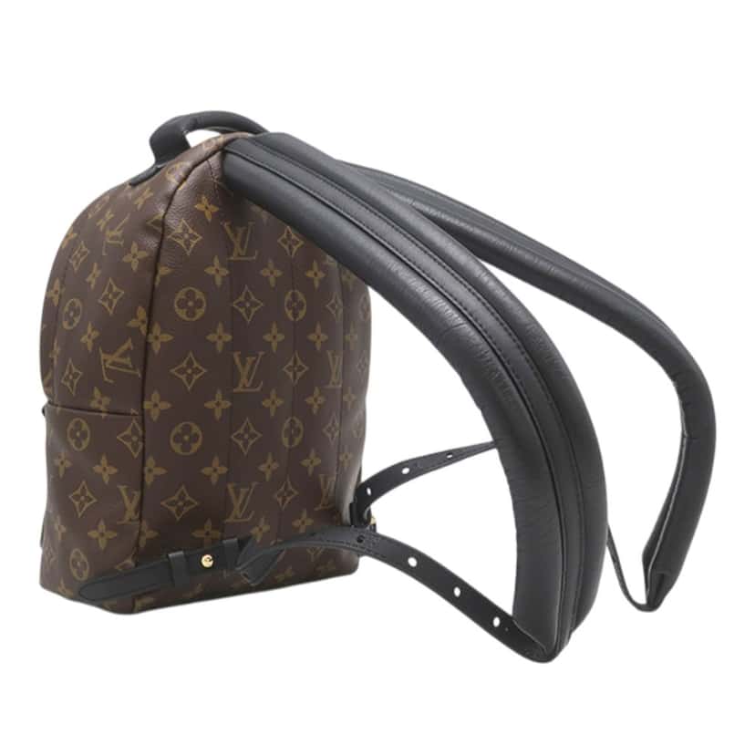 Louis Vuitton Monogram Palm Springs PM Brown Very good condition - Back View