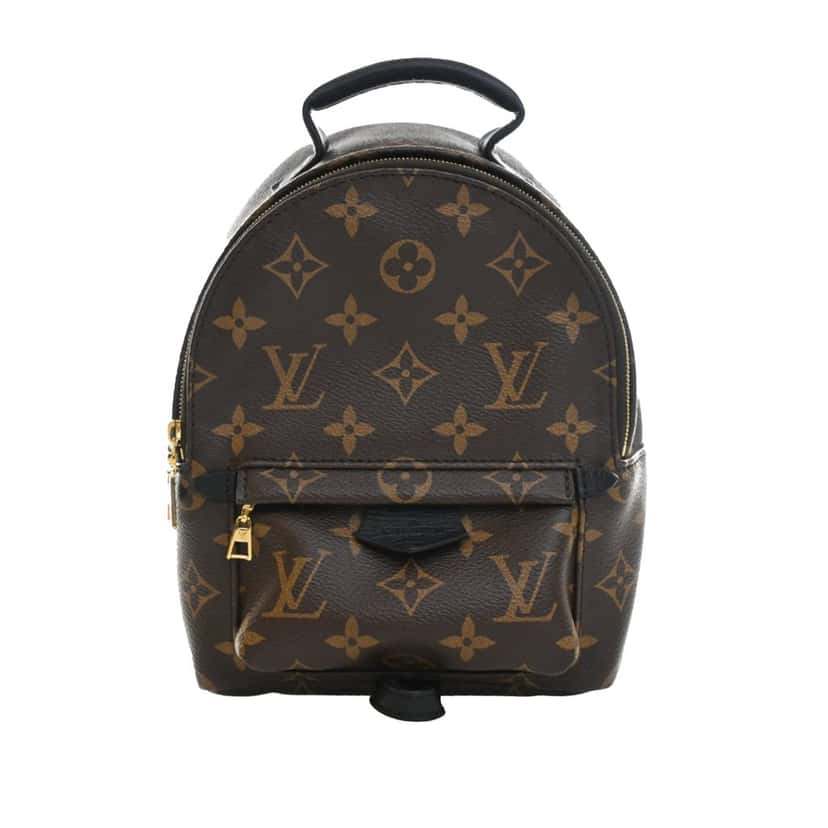 Louis Vuitton Monogram Mini Palm Springs