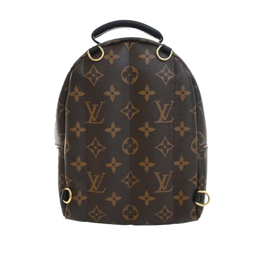 Louis Vuitton Monogram Mini Palm Springs Brown Very good condition - Back View