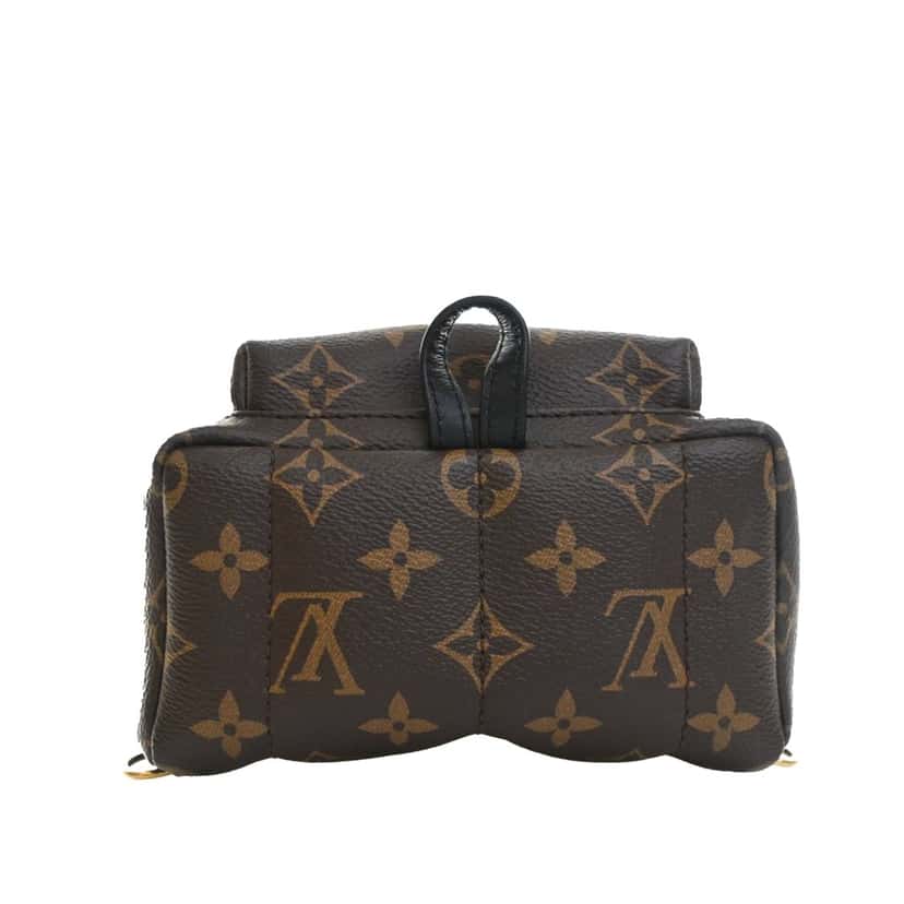 Louis Vuitton Monogram Mini Palm Springs Brown Very good condition - Inside View