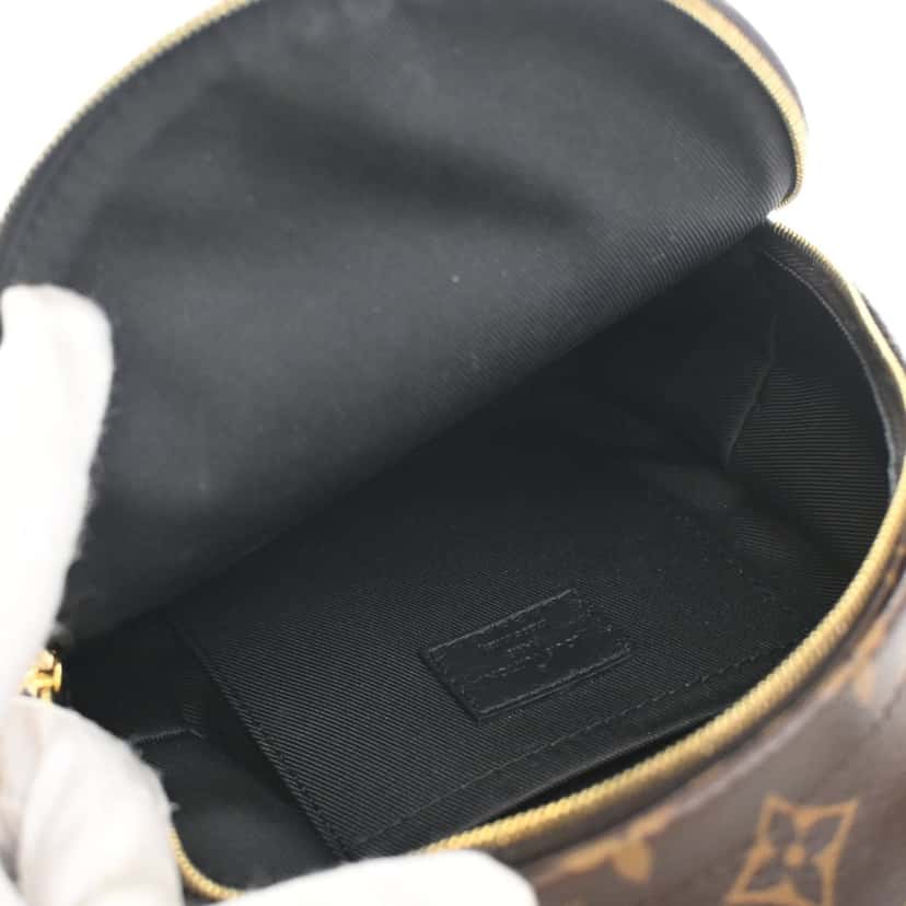Louis Vuitton Monogram Mini Palm Springs Brown Very good condition - Model View