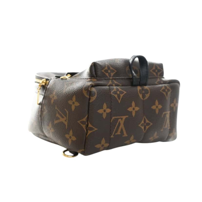 Louis Vuitton Monogram Mini Palm Springs Brown Very good condition - Box View