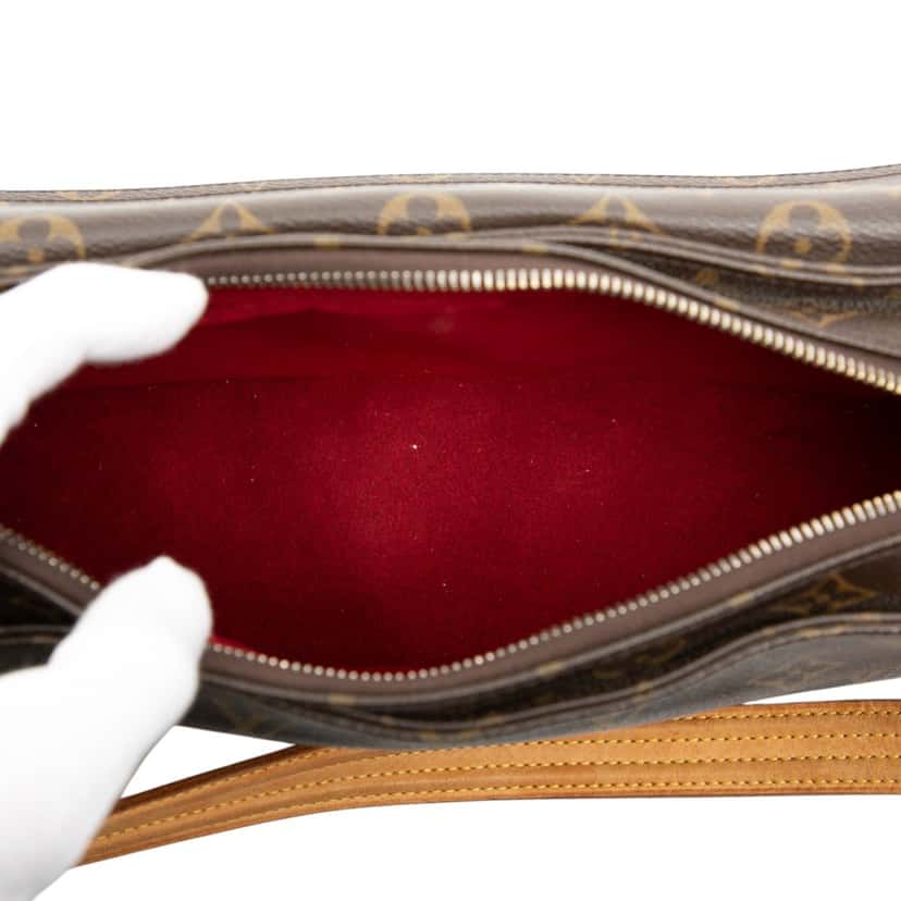 Louis Vuitton Monogram Viva Cite MM Brown Very good condition - Model View