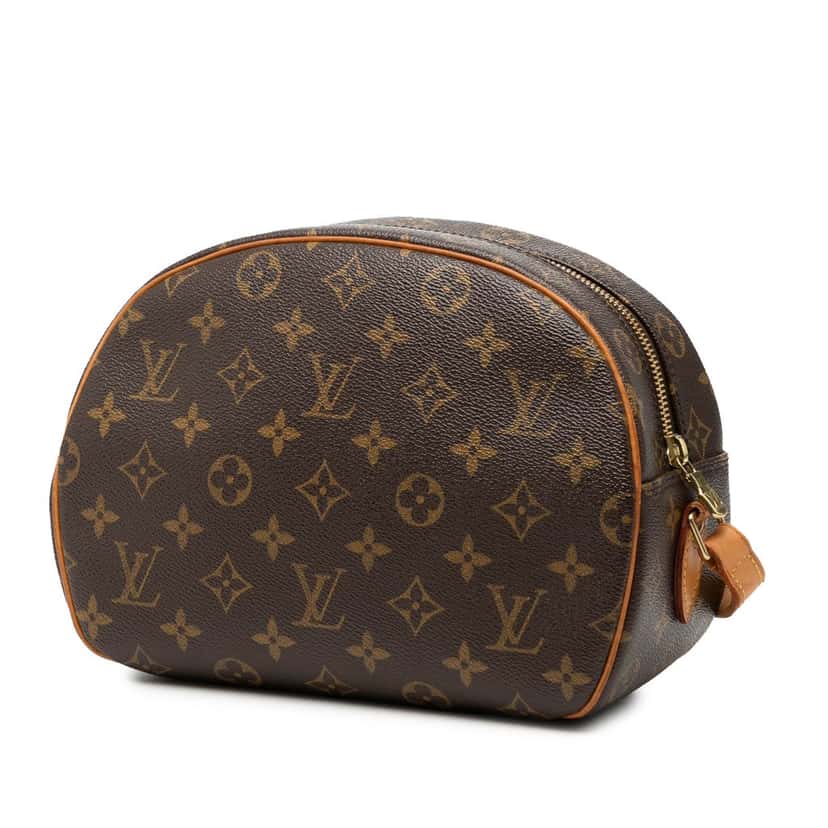Louis Vuitton Monogram Blois Brown Very good condition - Back View