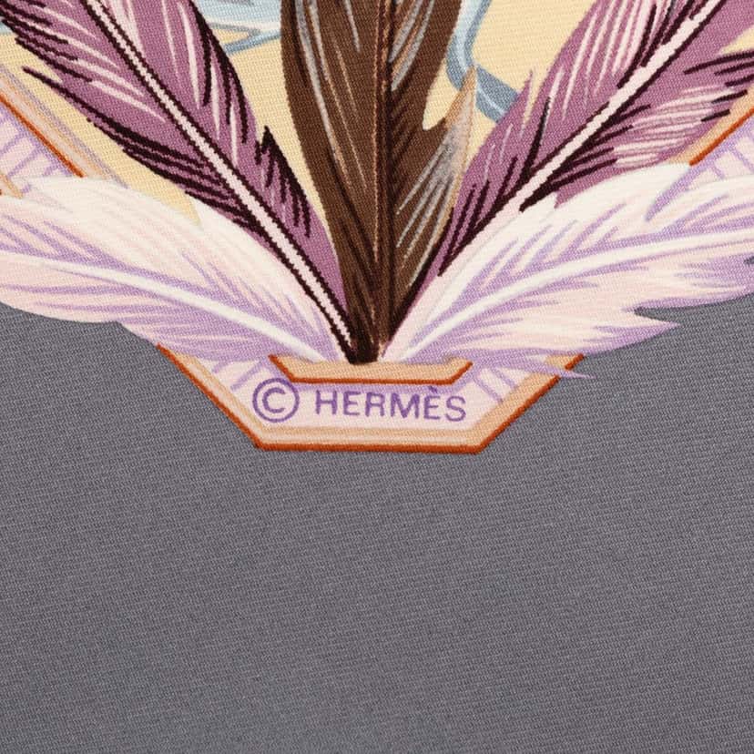 Hermès Amazonia Silk Scarf 90 Other Very good condition - Model View