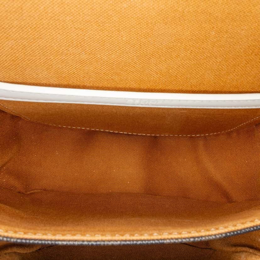 Celine Medium Triomphe Coated Canvas Folco Crossbody Brown Very good condition - Model View