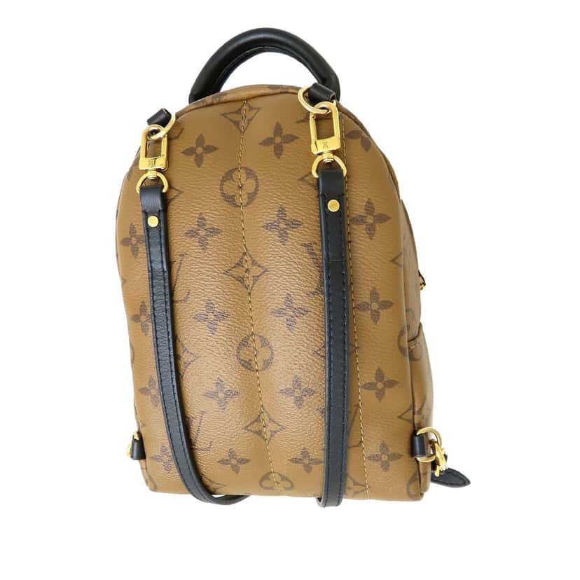 Louis Vuitton Monogram Reverse Mini Palm Springs Brown Very good condition - Back View