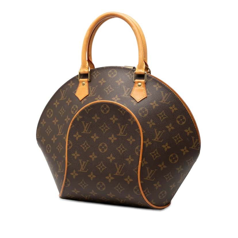 Louis Vuitton Monogram Ellipse MM Brown Good condition - Back View