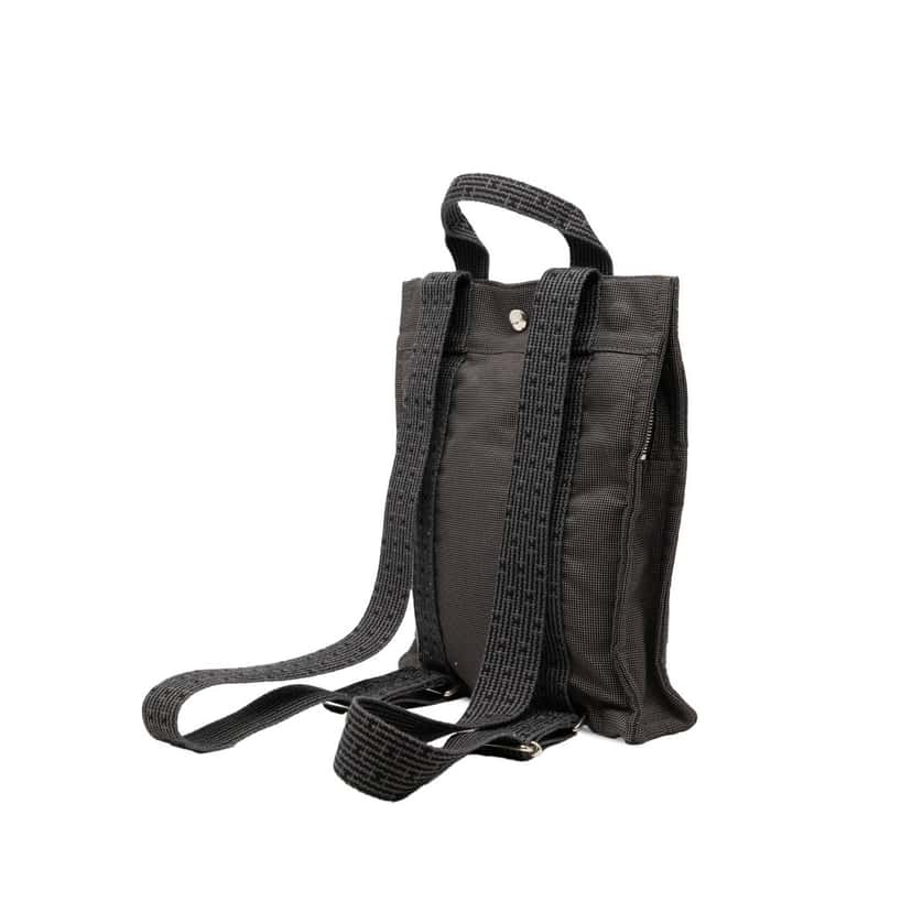 Hermès Canvas Herline Backpack PM Other Very good condition - Back View