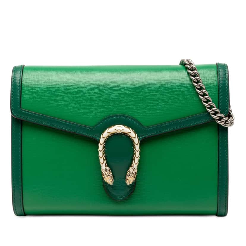 Gucci Bicolor Calfskin Dionysus Wallet on Chain Green Leather Very good condition - Front View