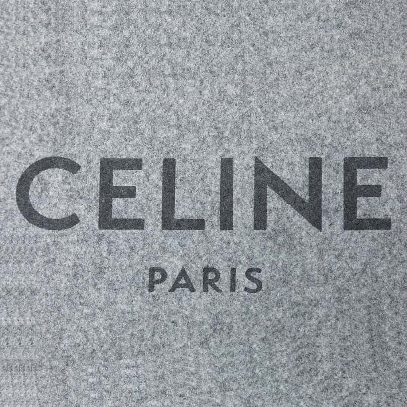 Celine Felt Logo Flat Pouch Other Very good condition - Box View
