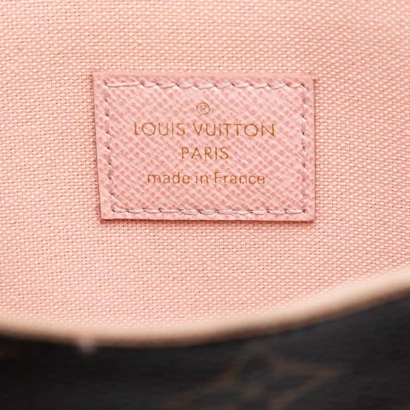 Louis Vuitton Monogram Pochette Felicie Valentine Dog Brown Very good condition - Box View