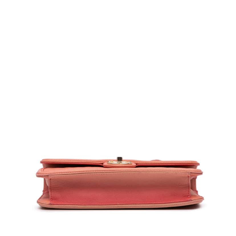Chanel Medium Quilted Caviar Sunset On The Sea Flap Pink Leather Very good condition - Inside View