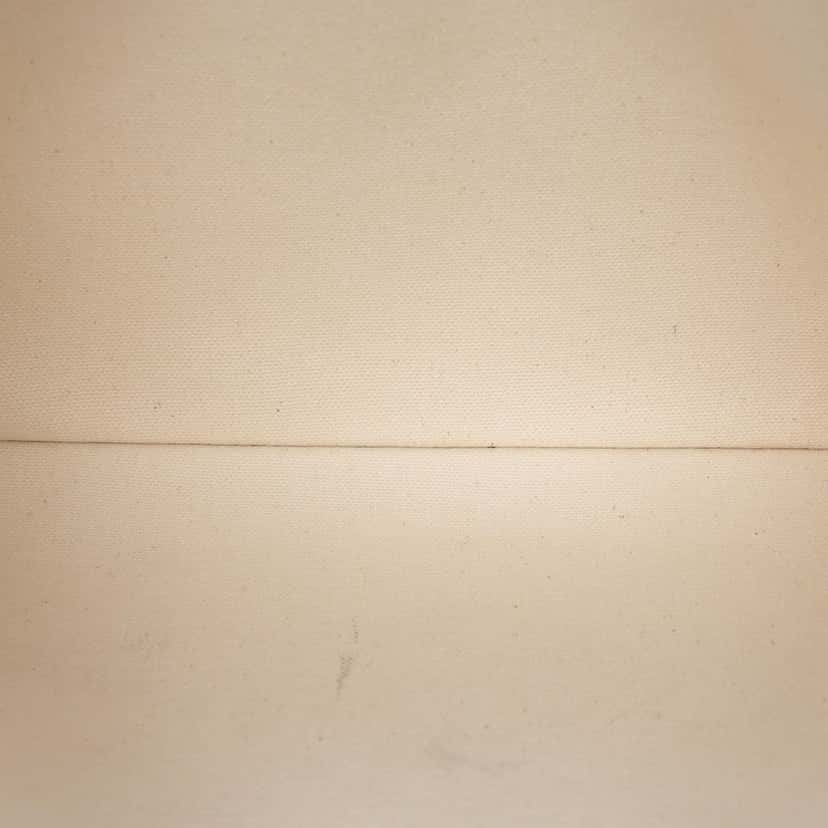 Celine Large Canvas Logo Clutch White Very good condition - Model View