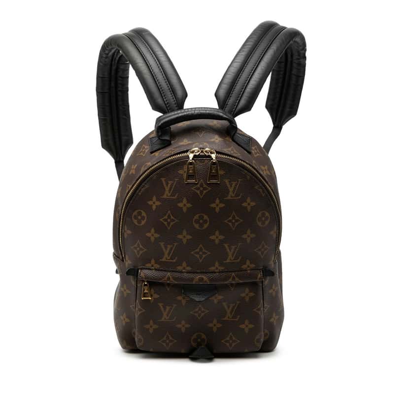 Louis Vuitton Monogram Palm Springs PM Brown Good condition - Front View