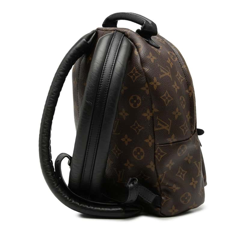 Louis Vuitton Monogram Palm Springs PM Brown Good condition - Back View
