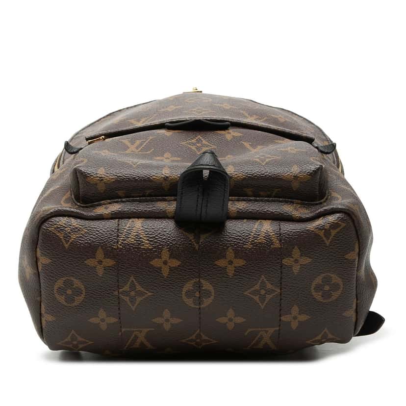 Louis Vuitton Monogram Palm Springs PM Brown Good condition - Inside View