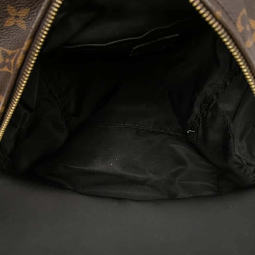Louis Vuitton Monogram Palm Springs PM Brown Good condition - Model View