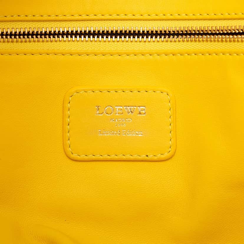 LOEWE Tricolor Leather Amazona 36 Yellow Leather Very good condition - Box View