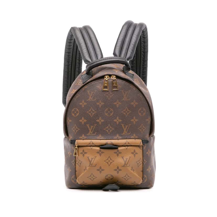 Louis Vuitton Monogram Reverse Palm Springs PM Brown Canvas Good condition - Front View