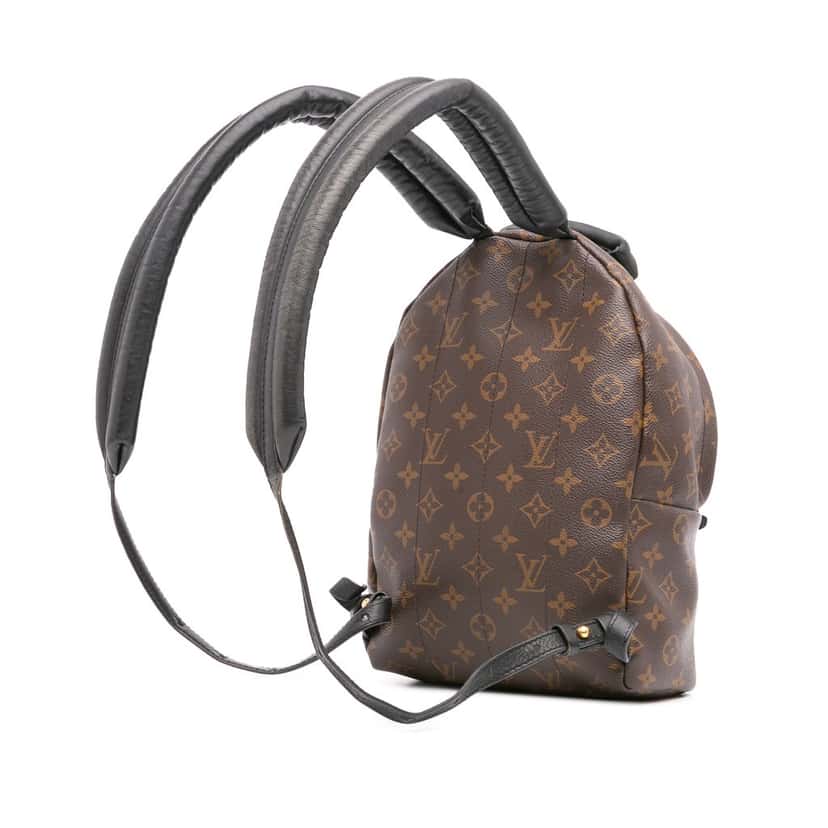 Louis Vuitton Monogram Reverse Palm Springs PM Brown Canvas Good condition - Back View